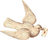 새